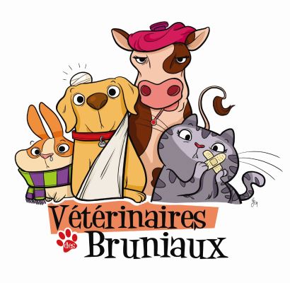 Clinique Vétérinaire des Bruniaux